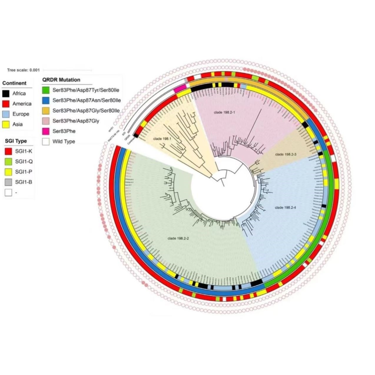 医学SCI发文服务一二三区四区生物研究回顾型Meta生信分析加急234