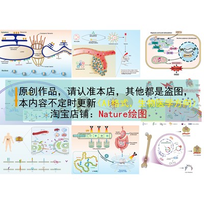 SCI科研绘图素材AI素材生物医学代画学习素材医学绘图AI模板