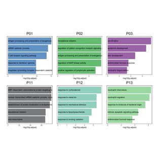 生信分析服务医学生信课题设计文章复现服务