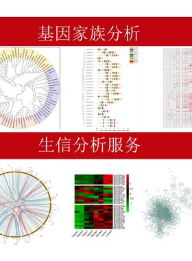 生信分析网络药理学生物信息学服务单细胞测序转录组GEO数据挖掘