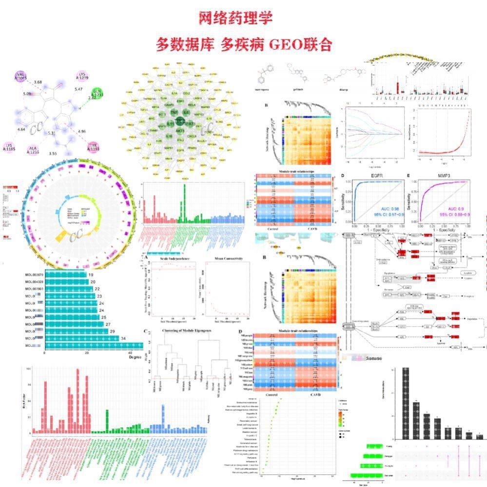 网络药理学中药复方单味药化合物KEGG富集分析机制多疾病分子对接