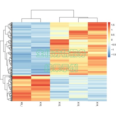 转录组数据分析 RNAseq SRA数据挖掘 PCA 聚类热图 GO KEGG