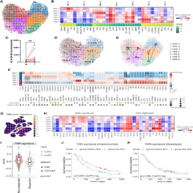 生信分析2-8分转录组数据分析服务TCGA GEO数据库挖掘生信