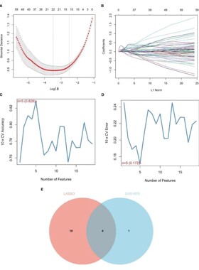 R语言代码Rstudio绘图SCI科研生信医学桑基热图数据分析作图教程