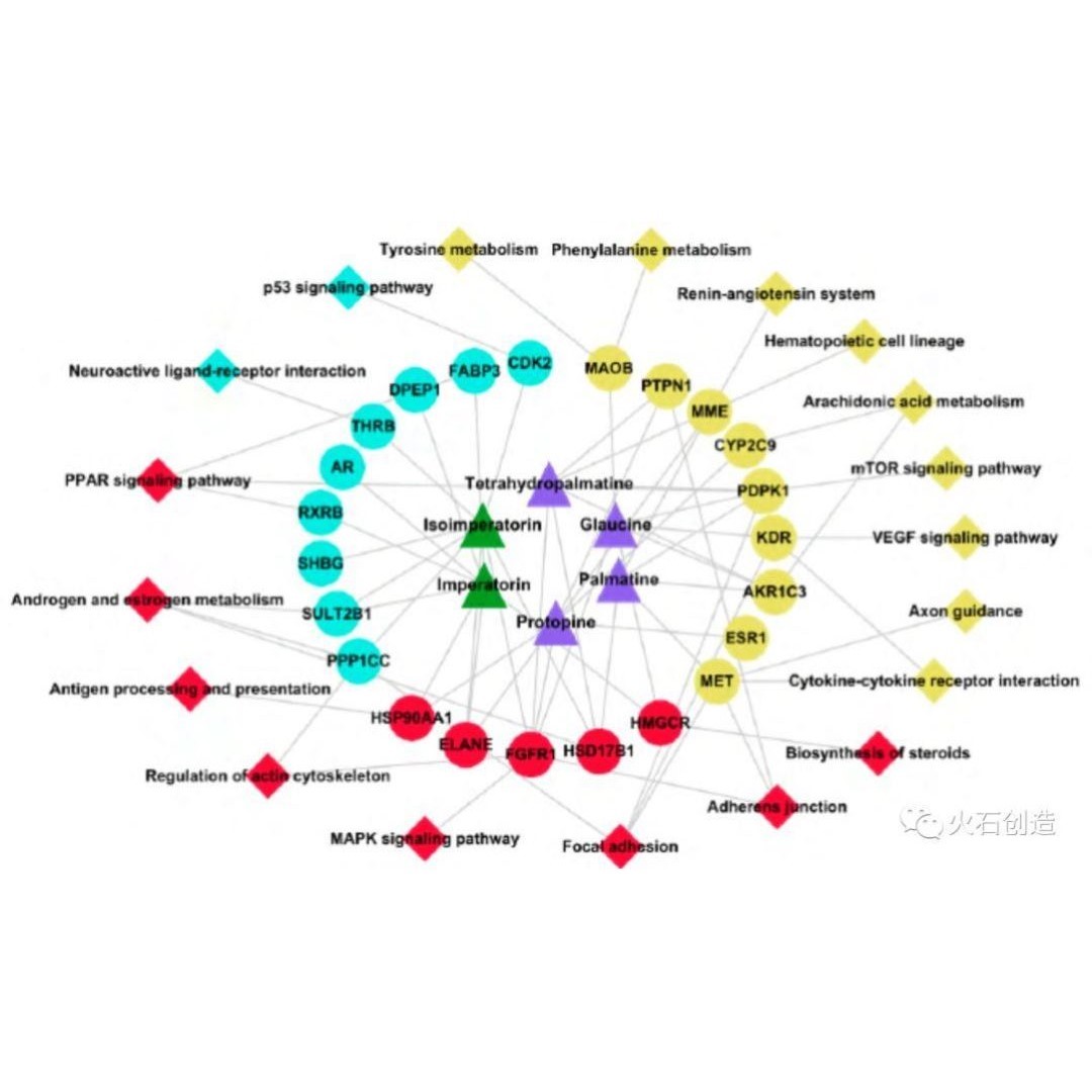 网路药理学专业代做 cytoscape作图 GO/KEGG富集 PPI网路