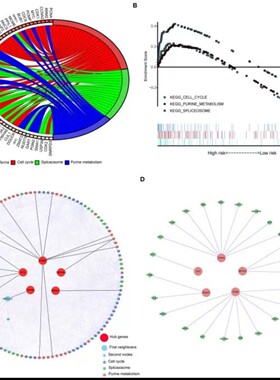 R语言代做rstudio统计时间序列stata实证分析服务python代码编写