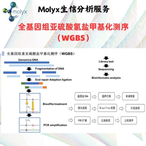 甲基化测序数据分析(WGBS、oxBS-seq、EM-seq、(E5hmc-seq)