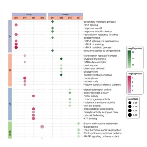 生信分析服务TCGA/GEO数据挖掘SCI2-5分代做16s转录组基因组分析