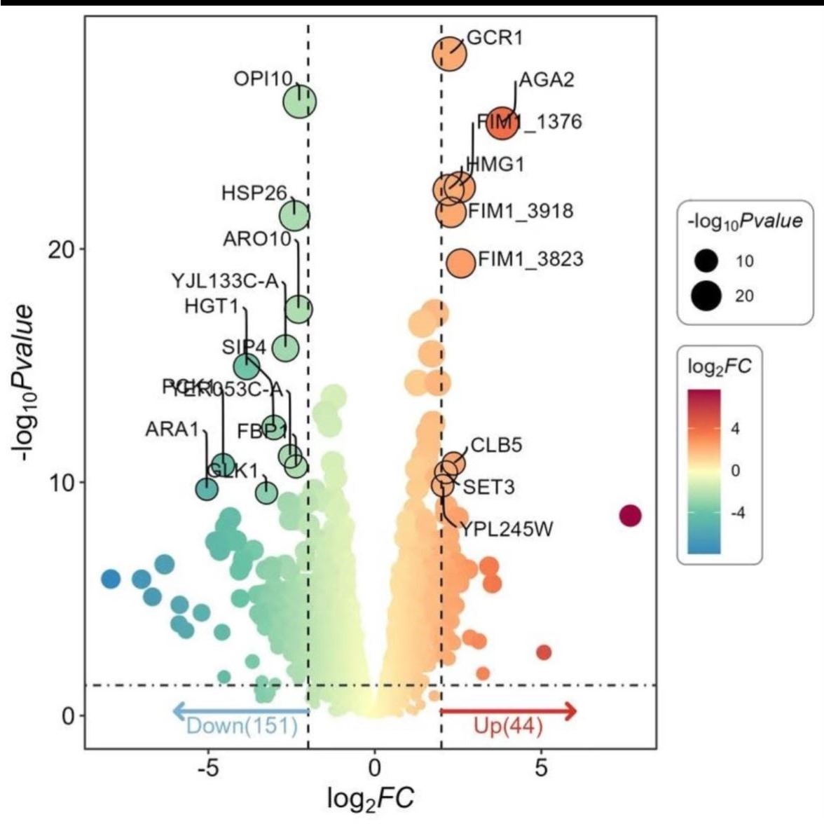 生信分析 TCGA GEO 数据挖掘 go 富集 kegg WGCNA 预后模型诊断