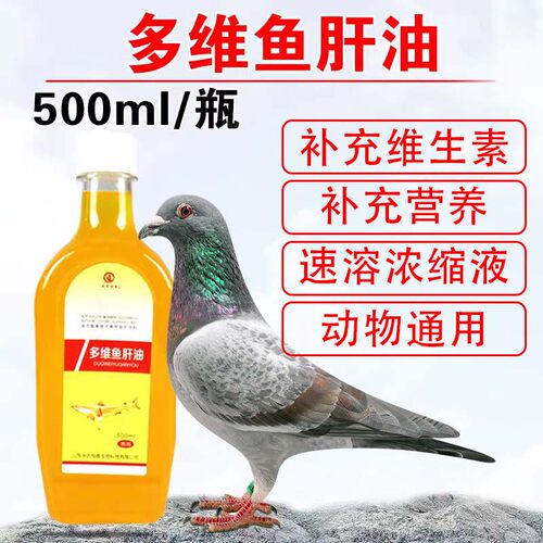 赛鸽预防软骨症促进生长发育