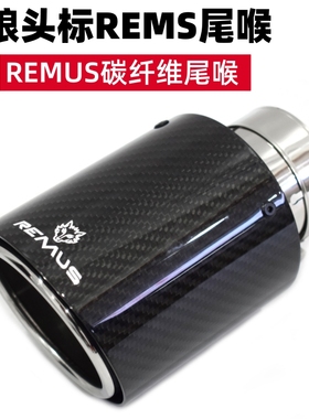 天蝎AK碳纤维尾喉汽车改装排气管双出四出REMUS狼头标卡箍尾嘴