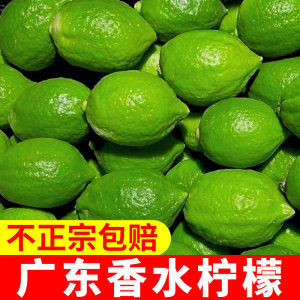 香水柠檬5斤一级果广东无籽四季青柠檬新鲜批发包邮奶茶店专用