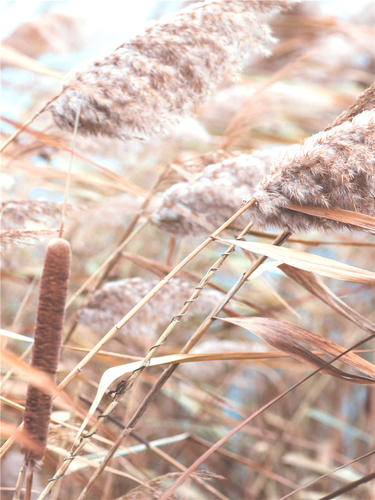 diy数字自己涂色材料包装饰画