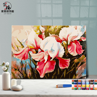DIY数字油画自己填色材料包百合花君子兰马蹄莲鸢尾萱草花装饰画