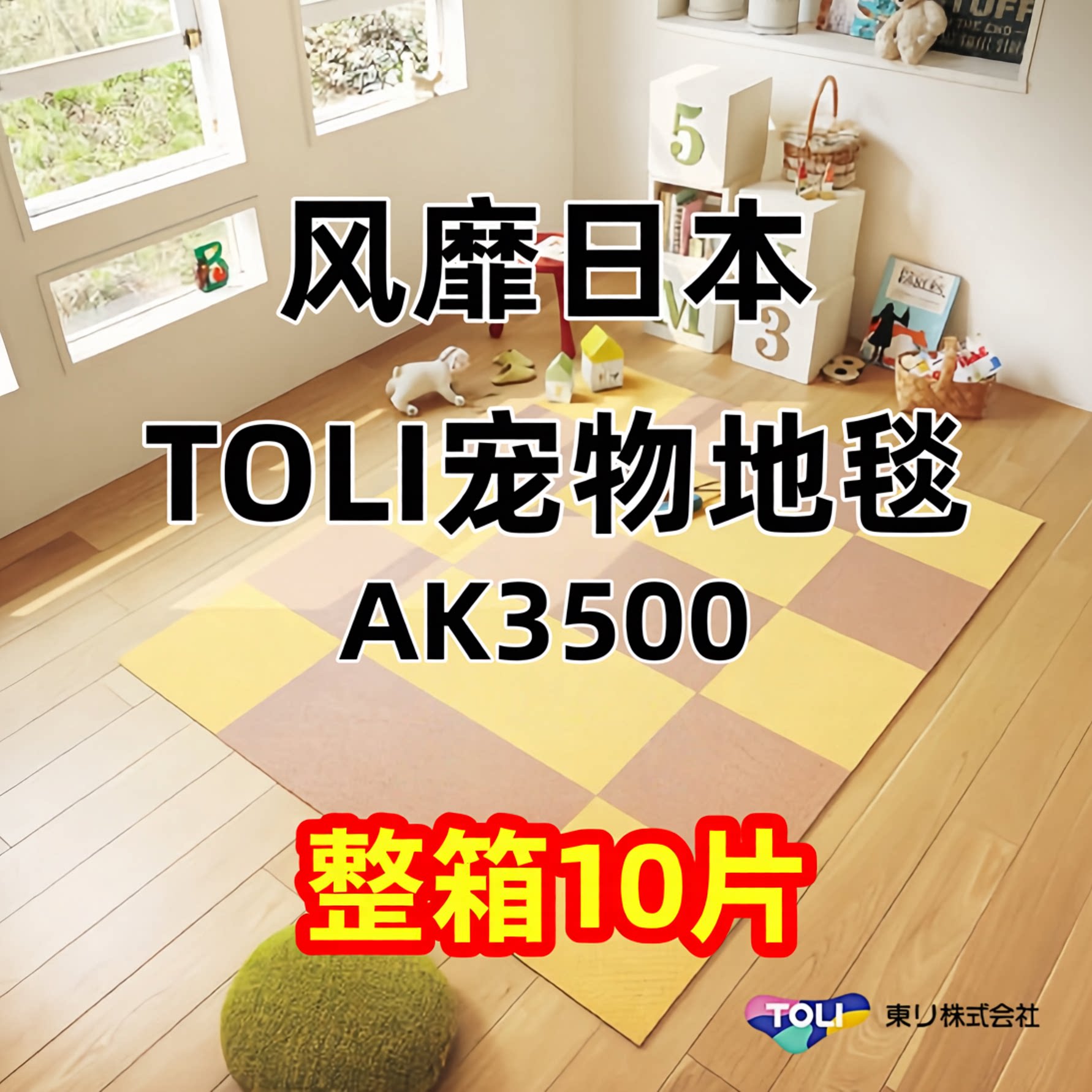 日本东理AK35整箱10片