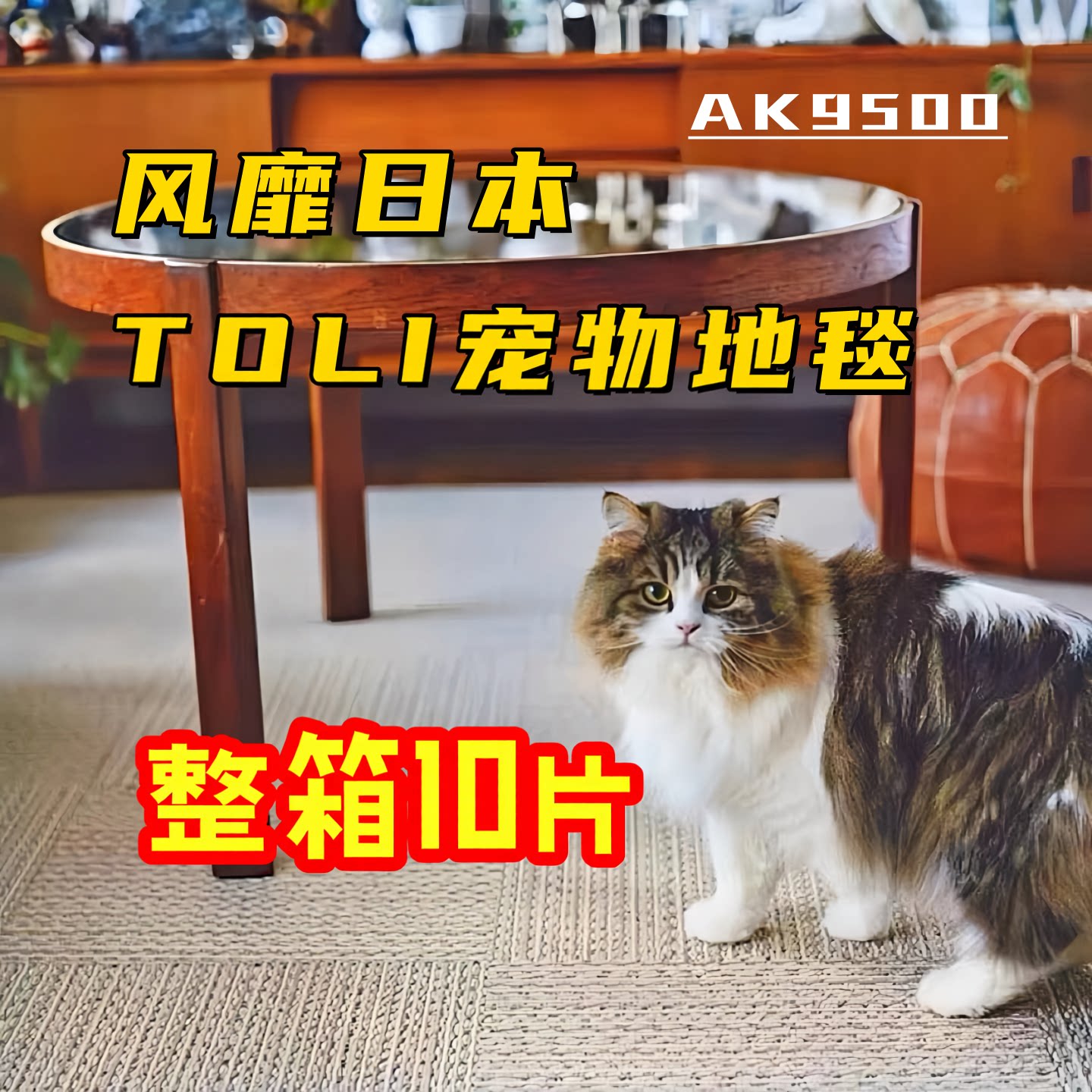 东理地毯AK95整箱10片