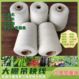 丝瓜爬藤绳绑豌豆架线吊番茄西红柿黄瓜大棚蔬菜吊绳绑蔓吊秧绳子