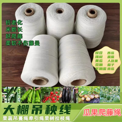 绑蔓吊秧专用大棚蔬菜吊绳番茄