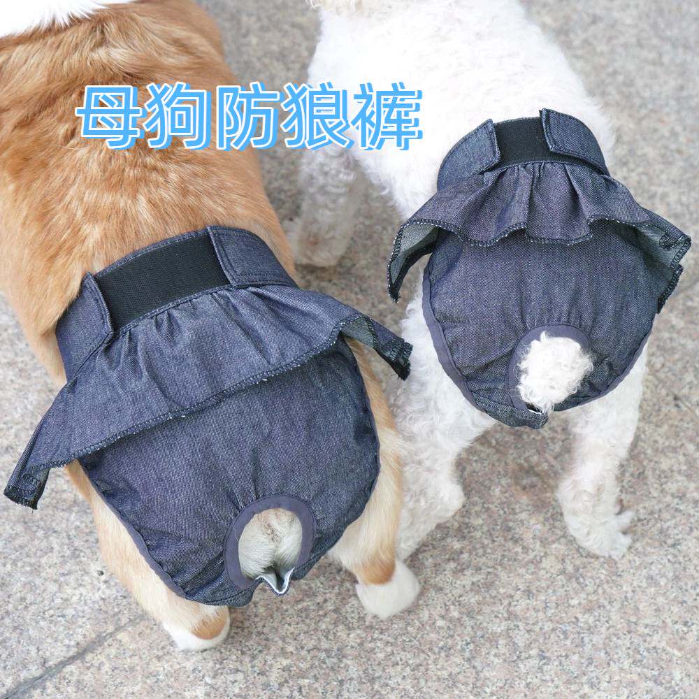 母狗防狼裤母犬防怀孕生理裤泰迪柯基宠物生理裤母姨妈裤狗狗内裤