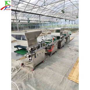 穴盘压穴自动播种机 农作物种子点播机 西红柿辣椒育苗种植机