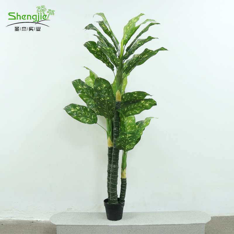 仿真芭蕉树仿真万年青 绿植酒店楼道布景 三头万年青装饰仿真盆栽