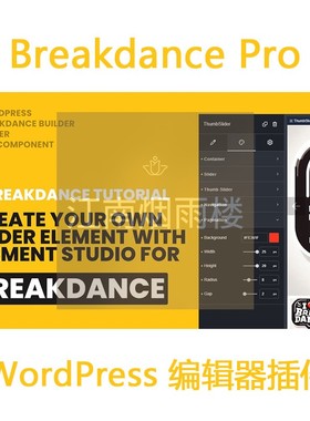 Breakdance Pro插件 WP网站页面构建器 WordPress 编辑器插件