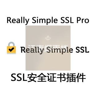 Really Simple SSL Pro 插件 WP安全证书插件 SSL插件Wordpress