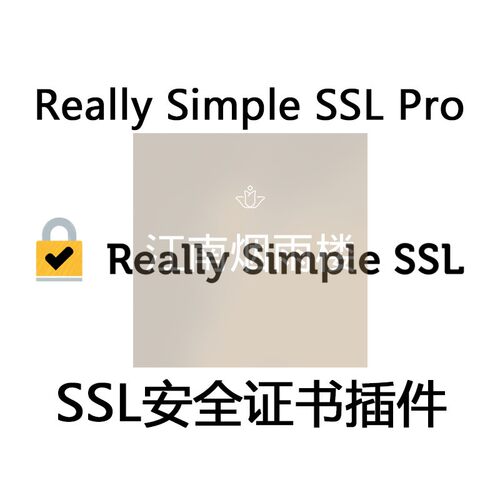 Really Simple SSL Pro 插件 WP安全证书插件 SSL插件Wordpress