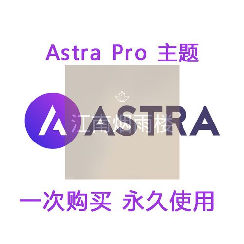 wordpress外贸跨境电商Astra PRO主题模版建站独立站搭建网站空间