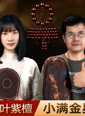 苏小北印度小叶紫檀手串满金星男檀香木佛珠手链女文玩108颗念珠
