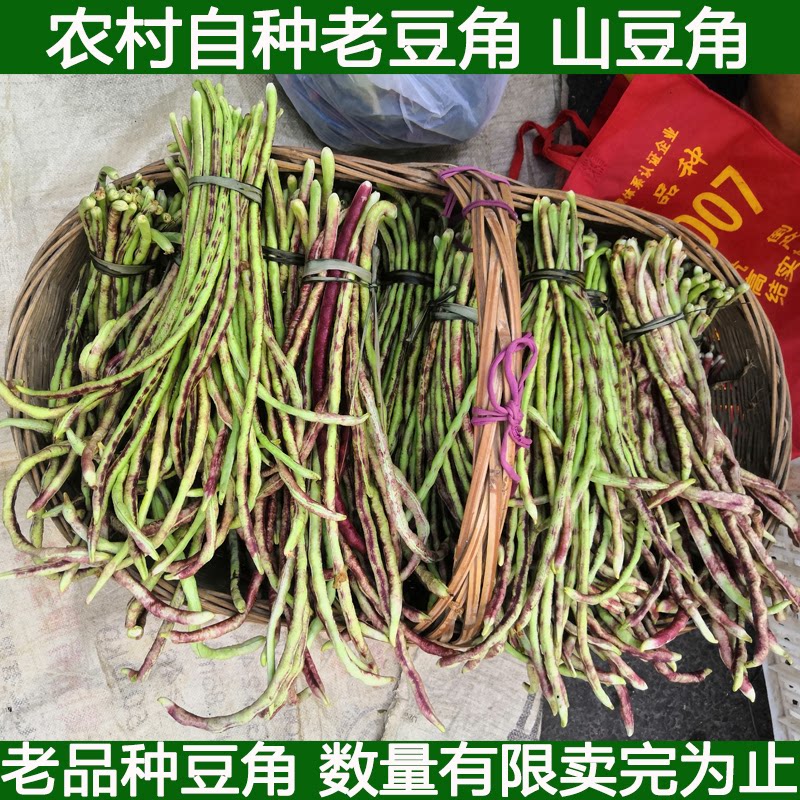 湖北宜昌农村自种八月山豆角红豆角八月豆角紫豆角紫眉豆3斤包邮