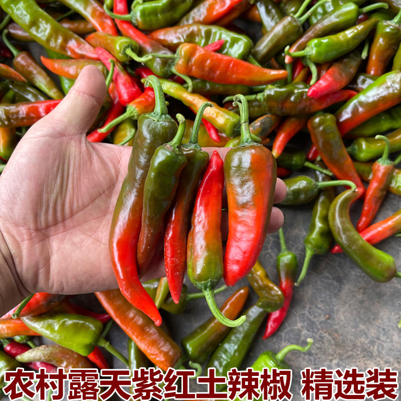 农村老奶奶自种本地新鲜土辣椒红辣椒红土辣椒红尖椒做酱剁椒包邮