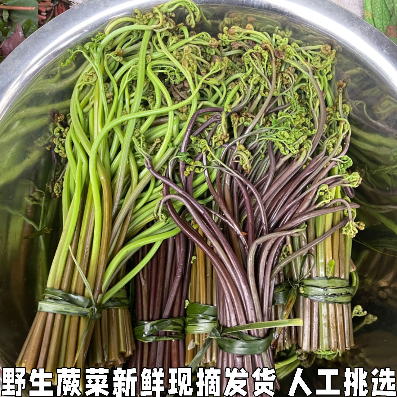 野生蕨菜新鲜下饭菜当季时令蔬菜农家菜山撅水龙爪菜甜厥过水发货