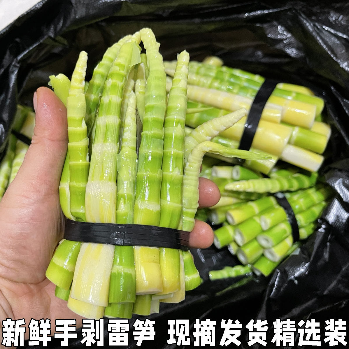 湖北新鲜雷笋黄笋尖竹笋嫩笋尖现剥现发黄笋尖竹笋嫩笋尖现剥现发