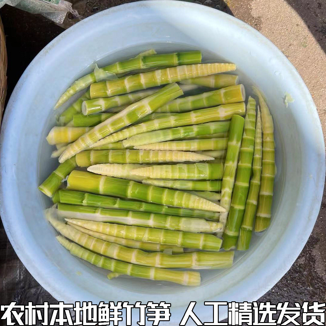 去壳细笋水竹笋小春笋春笋手剥笋农家新鲜山竹笋新鲜现挖野生竹笋