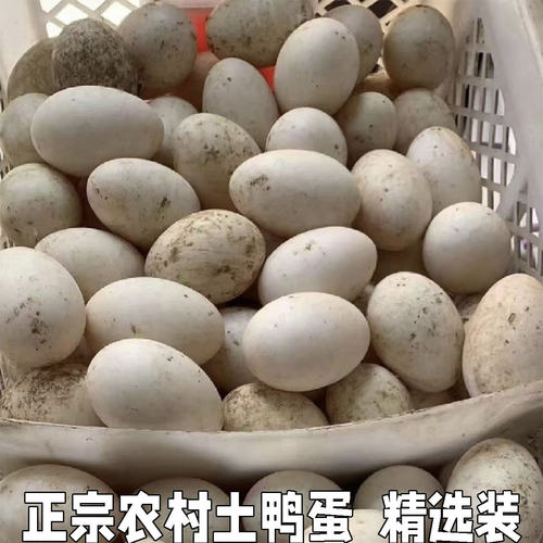 土鸭蛋农家散养新鲜自养湖北农村纯野外放养包邮生30枚整箱笨草麻