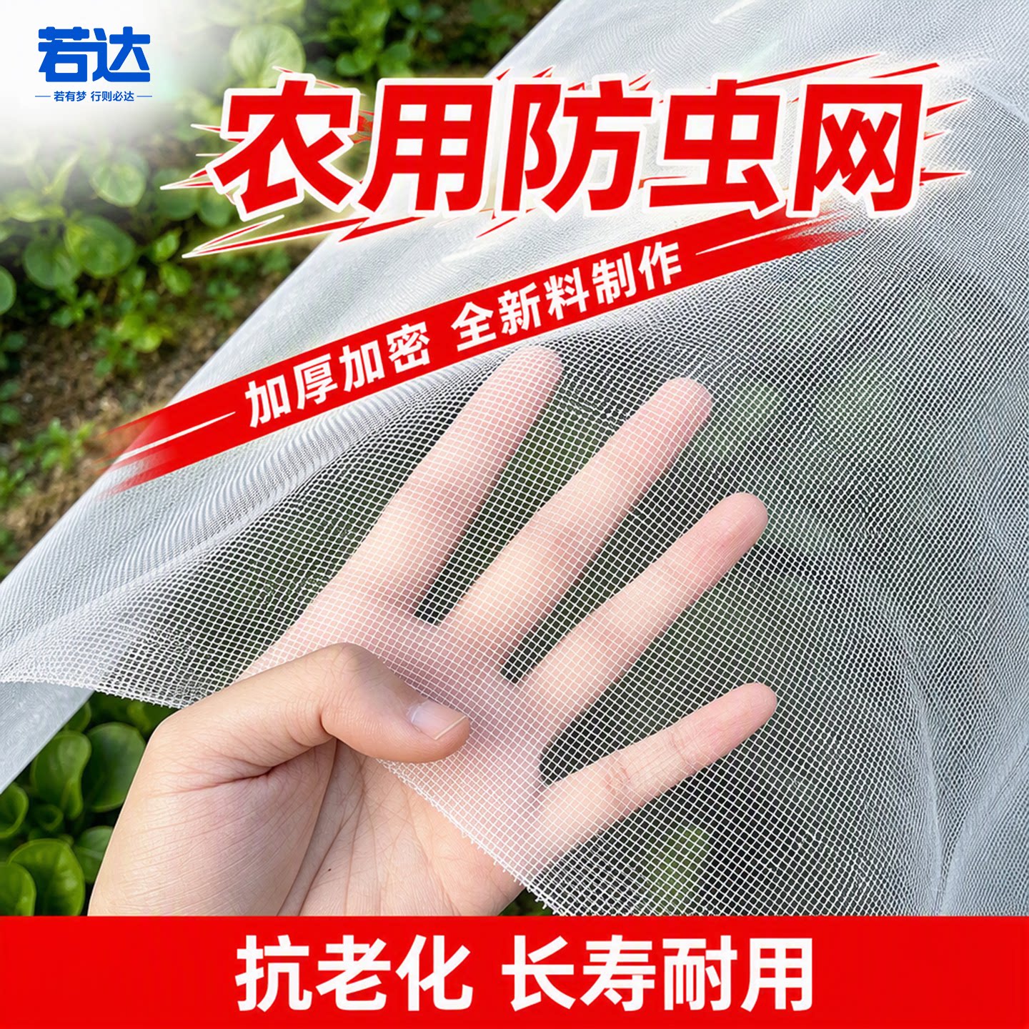 防虫网种菜蔬菜大棚专用