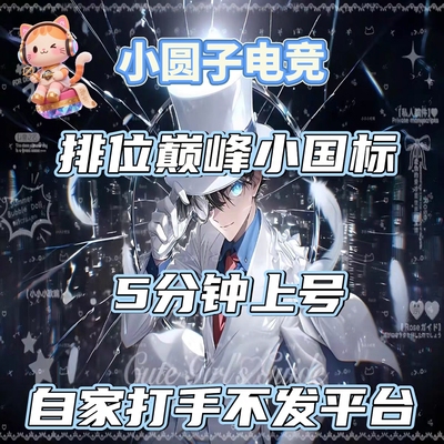 王者荣耀代打小圆子王者电竞排位巅峰陪练金标小国标