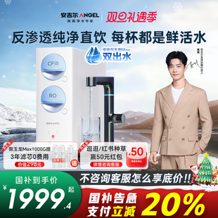 政府补贴安吉尔家用净水器直饮机厨房自来水过滤器玉龙Max1000G