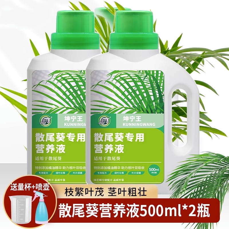 散尾葵家用养花水培植物盆栽*营养液...