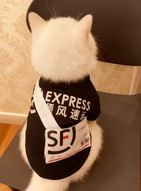 美式EXPRESS快递员猫咪T恤冬季度假风宠物服装黑色休闲上衣