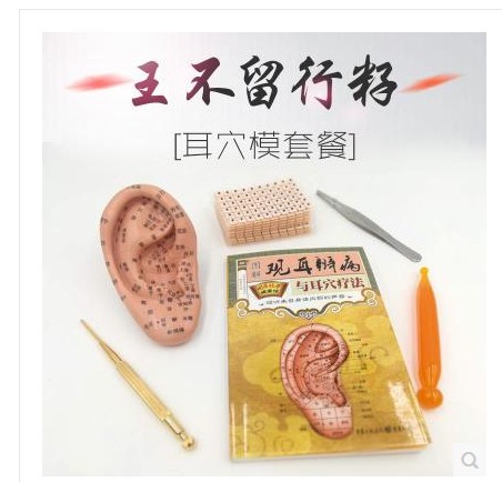 耳豆贴耳朵模型 耳穴探针 耳穴贴 王不留行 王不留行籽贴 耳贴