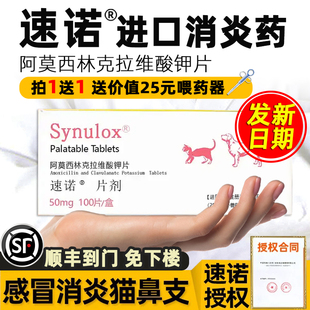 速诺消炎片猫感冒药消炎鼻支阿莫西林克拉维酸钾片宠物猫狗通用药
