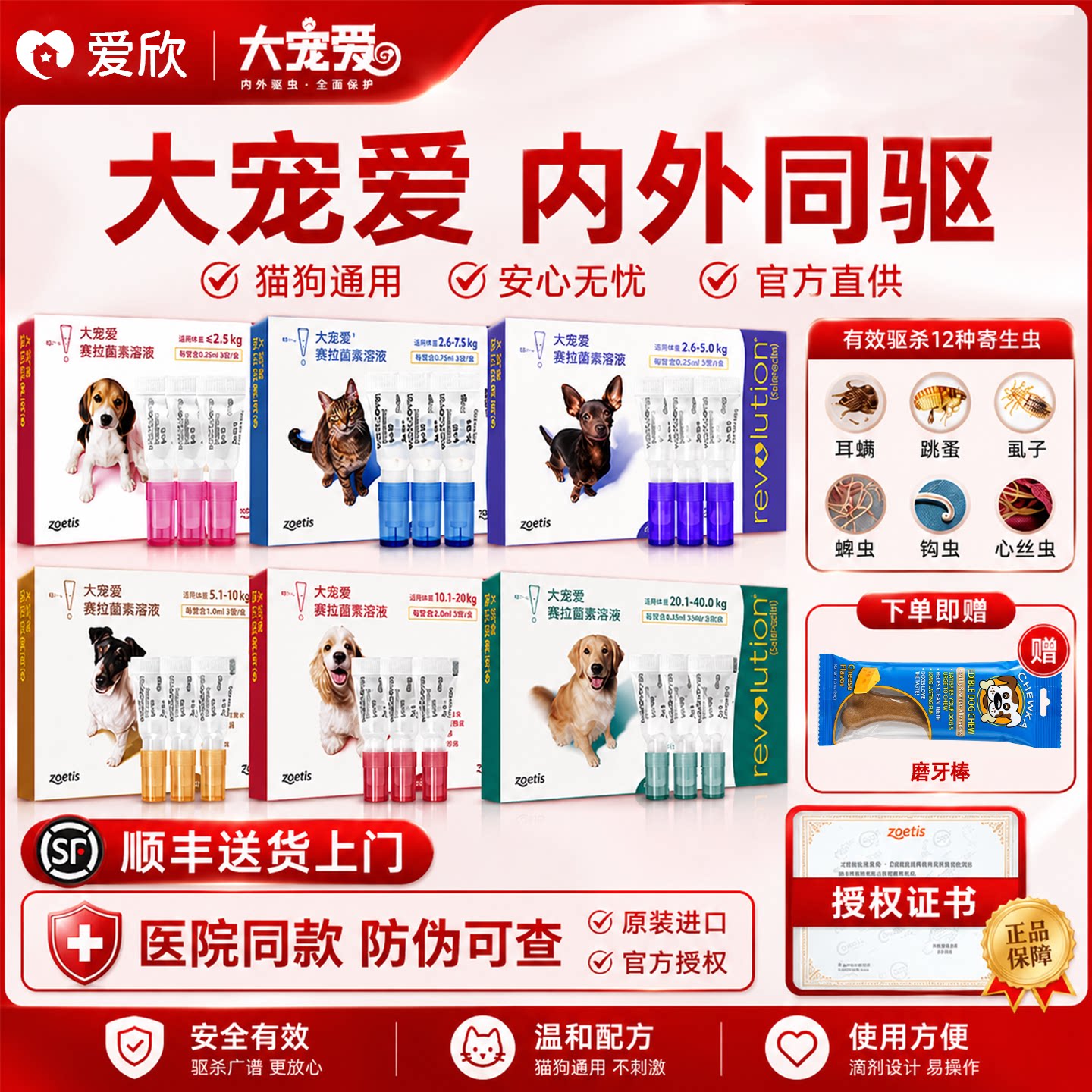 【官方授权顺丰发货】大宠爱图片