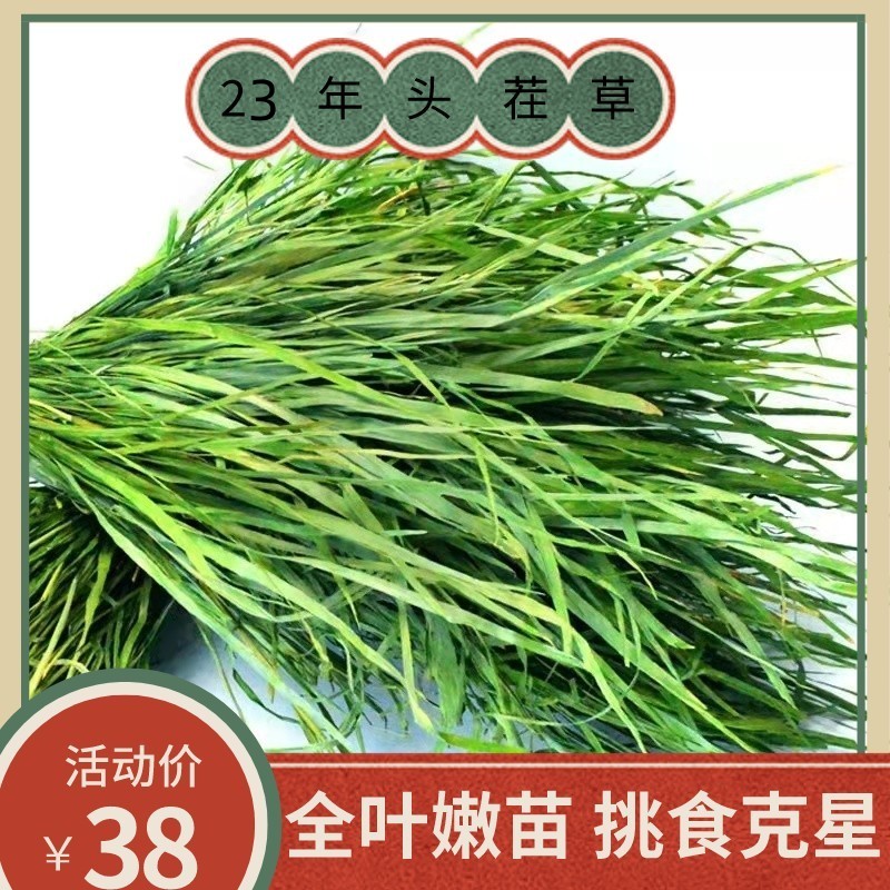 24年头茬全叶烘干提摩西草兔子