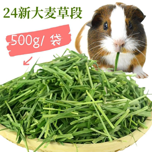 24年新烘干出口级大麦草段兔子龙猫干草料荷兰猪豚鼠牧草饲料粮食