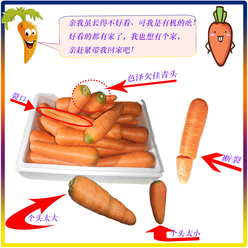 有机胡萝卜b品实惠看得见