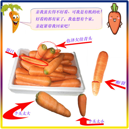 有机胡萝卜 红萝卜B品 有机 基地种植5斤 - 封面