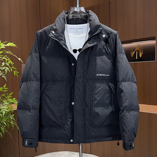 冬季 休闲保暖百搭加厚简约时尚 潮牌 立领免洗羽绒服外套男韩版 男士