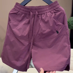 新款 2025夏季 欧货男士 休闲五分裤 打孔速干运动短裤 宽松沙滩裤 男款